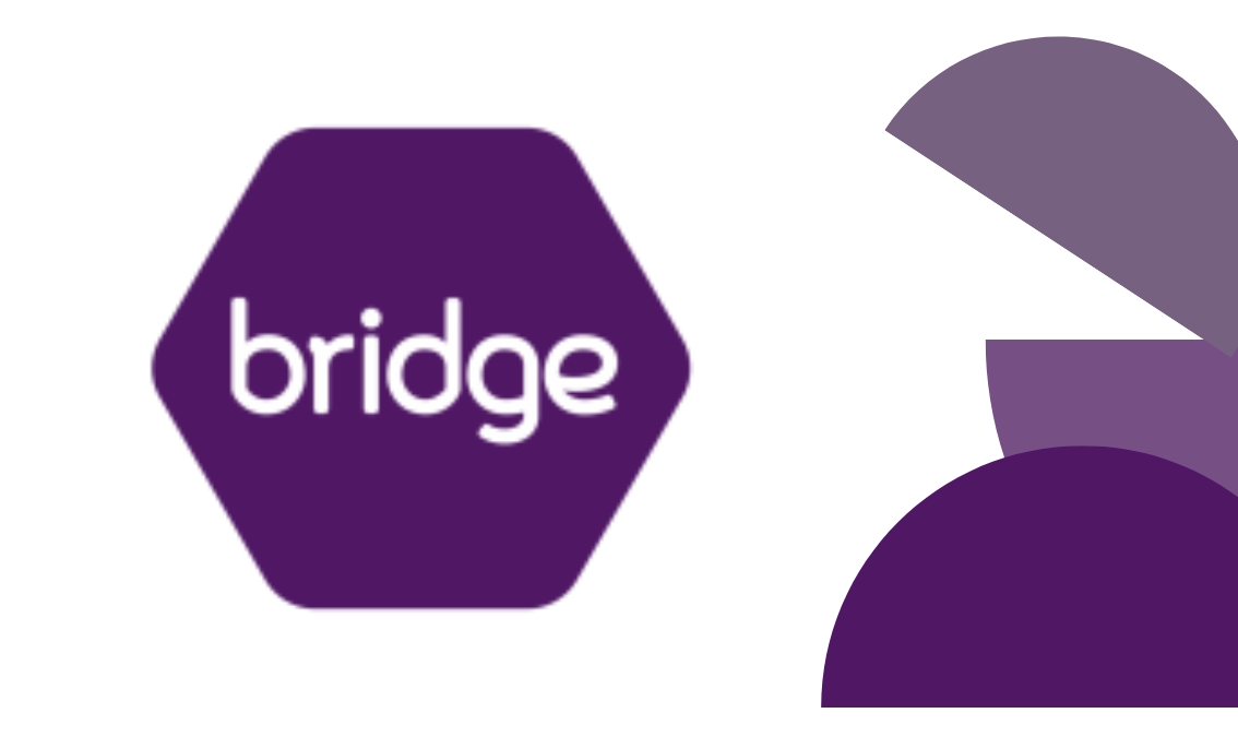 Bridge: Linking Knowledge bridge